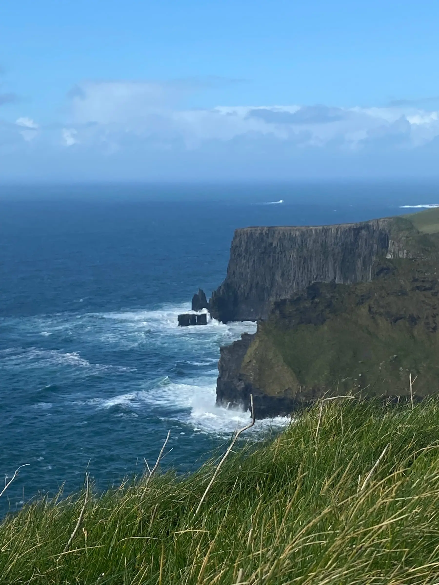Dark sea cliffs dropping into dark blue water with white surf, tall grass in the foreground
