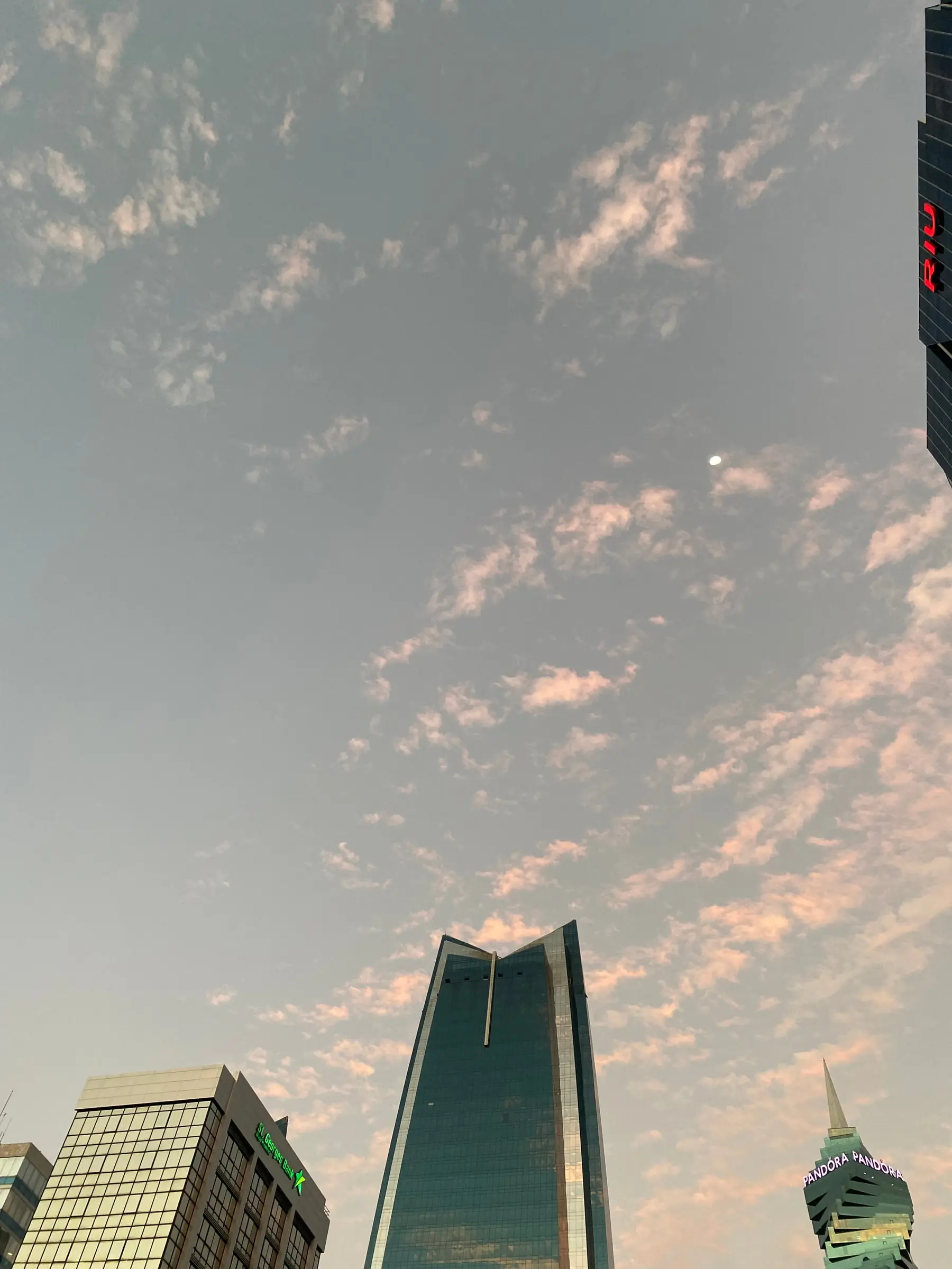 Pink-tinged clouds in a grey evening sky with a small moon, the tops of glass towers at the bottom of the frame