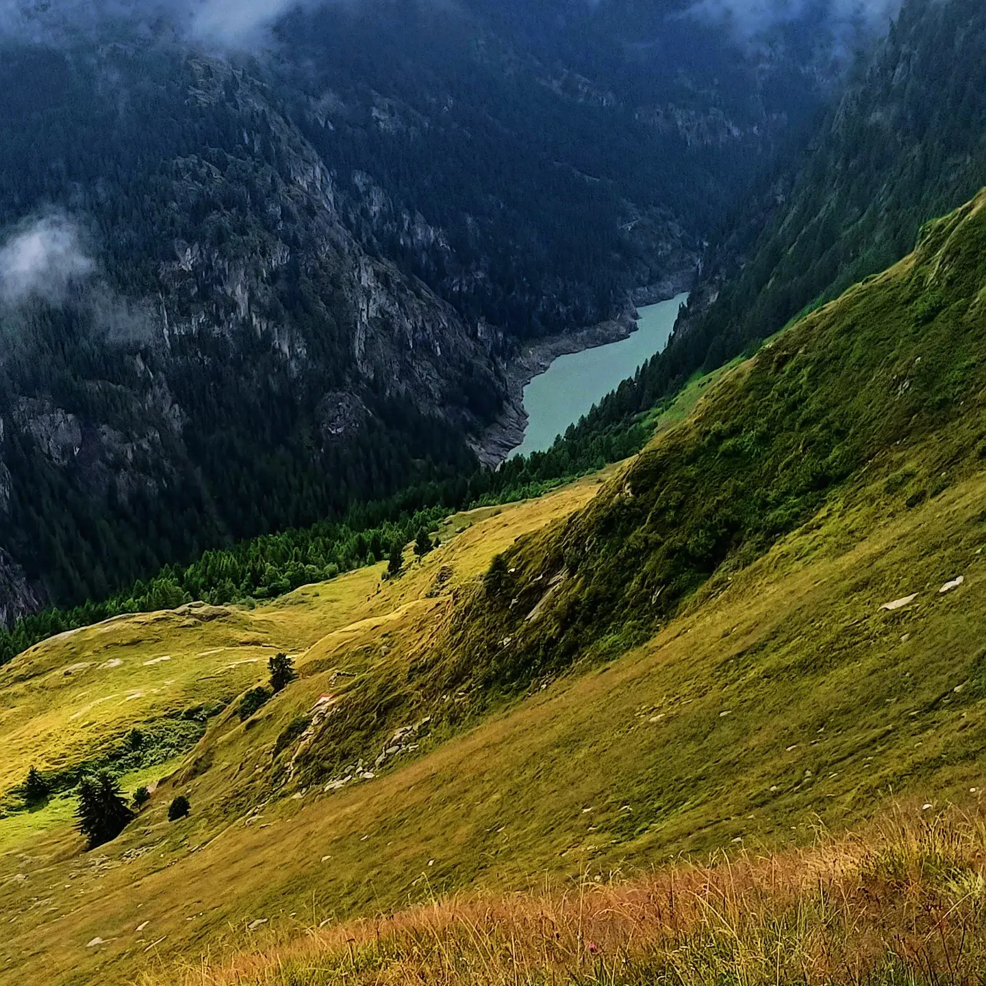 A green alpine slope dropping to a turquoise reservoir in a forested valley, patches of mist on the cliffs