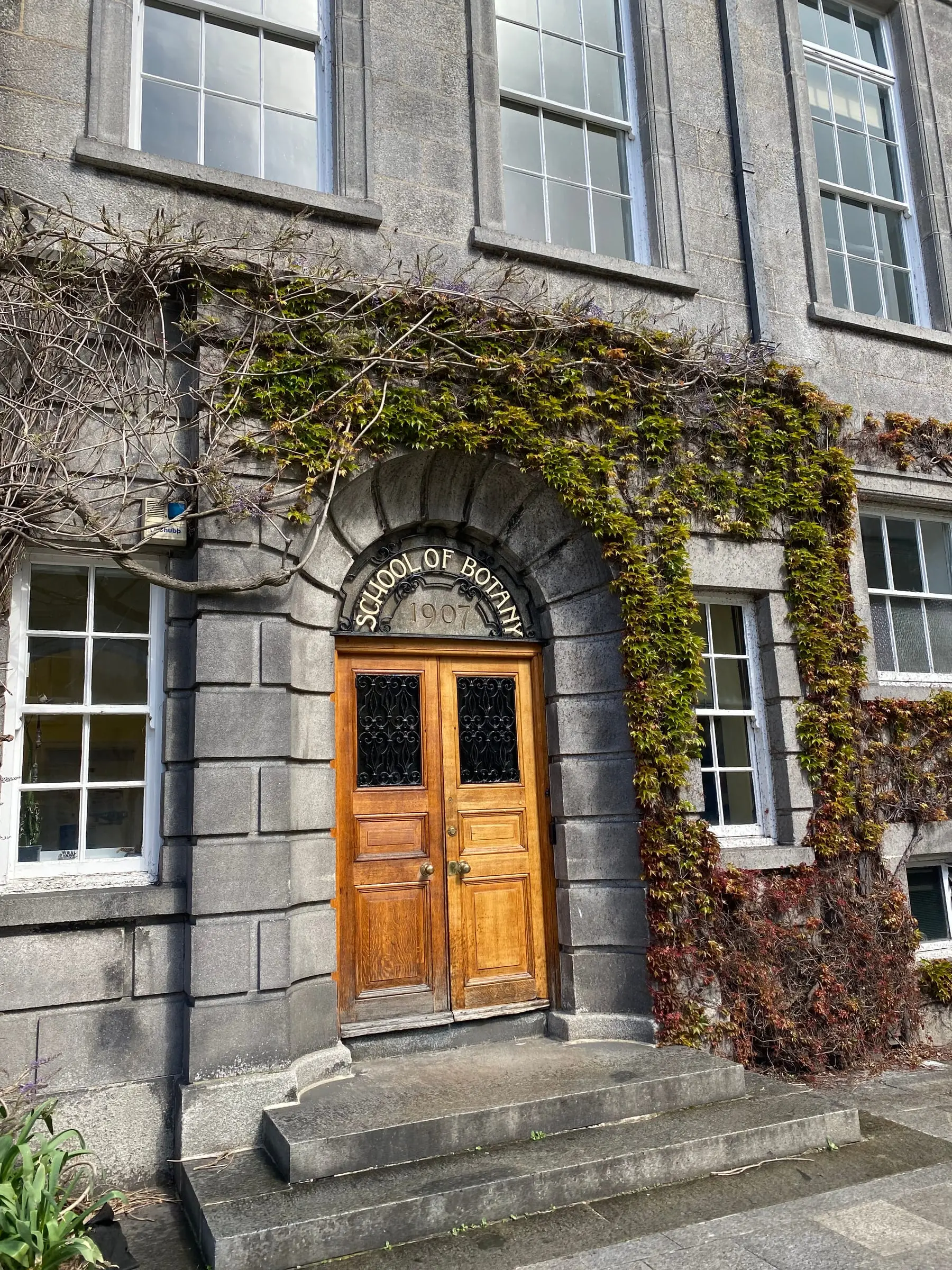 A grey stone building with an arched wooden doorway marked School of Botany 1907, ivy climbing the wall beside it
